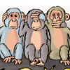 Projet collectif (CH) Les singes de la sagesse