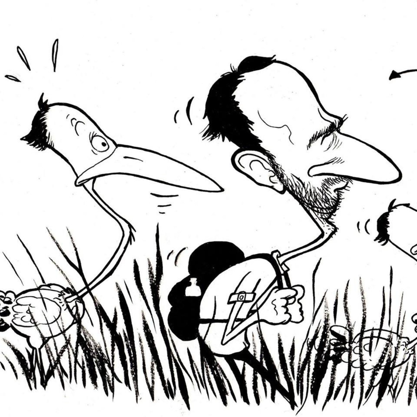 L’oeil du Pigr
