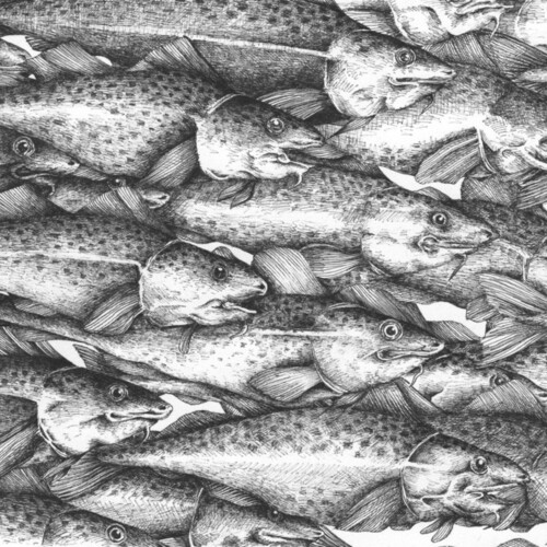 Marie-Morgane Adatte - Les mains glacées