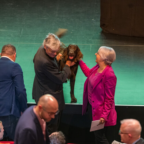 Damien Chappuis, François Schuiten & Ulysse et Elisabeth Baume-Schneider