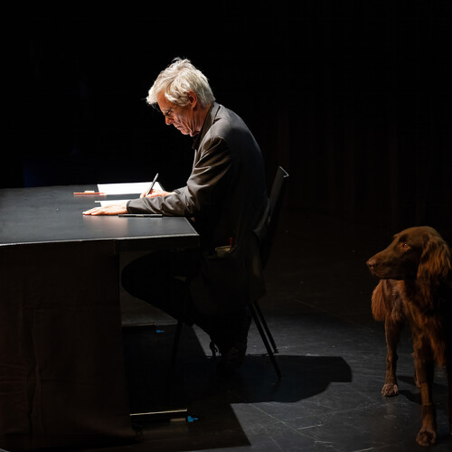 Performance dessinée de François Schuiten, Grand Trissou 2024