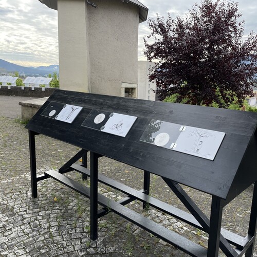 Xavier Gorce - Les indégivrables