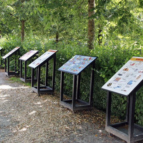 Tebo - Captain Biceps