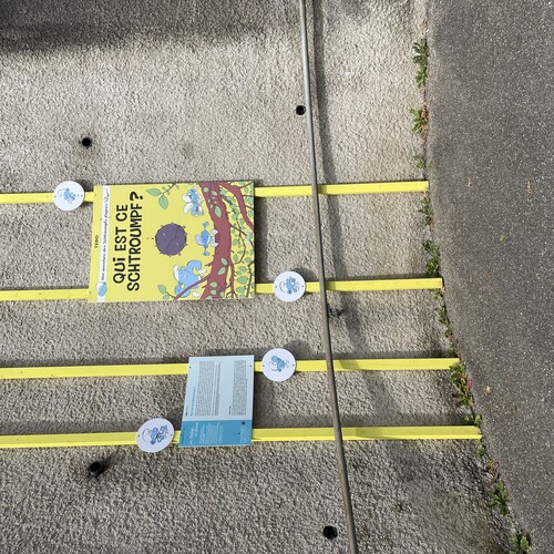 Tebo - Qui est ce schtroumpf ?