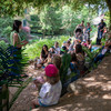 Contes à l'ombre des arbres