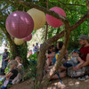 Contes à l'ombre des arbres