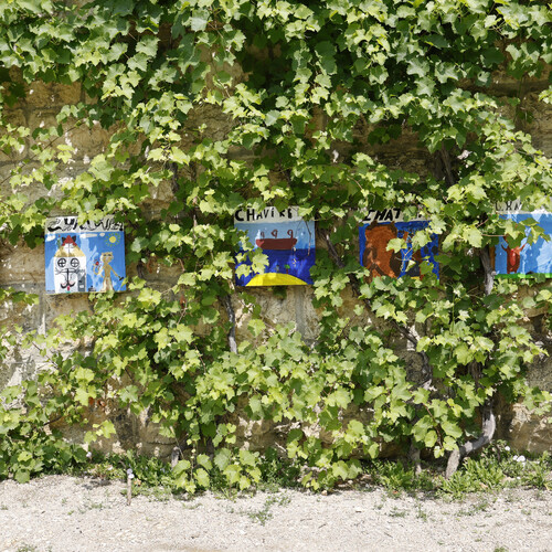 Dessins des élèves de l'école primaire du Château