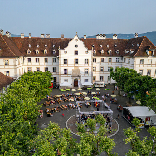 Cours du Château, DelémontBD 2025, Thématiques
