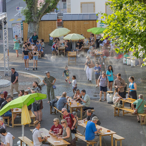 Cours du Château, DelémontBD 2025, Thématiques