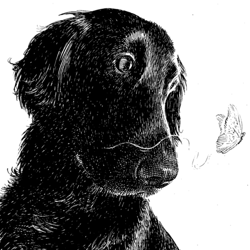 François Schuiten (BE) Jim