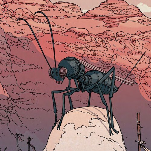 Jared Muralt (CH) Buglands