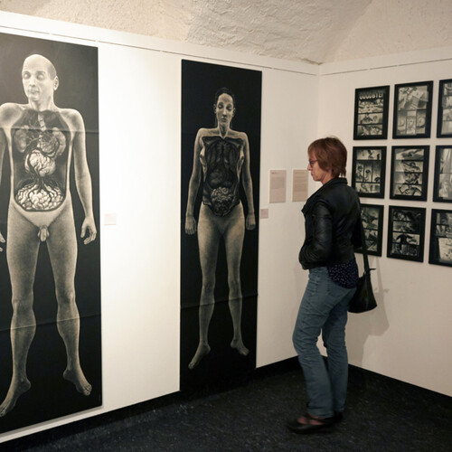 Description de l'image